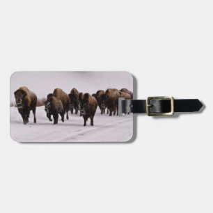 Etiqueta De Bagagem Bisonte no inverno
