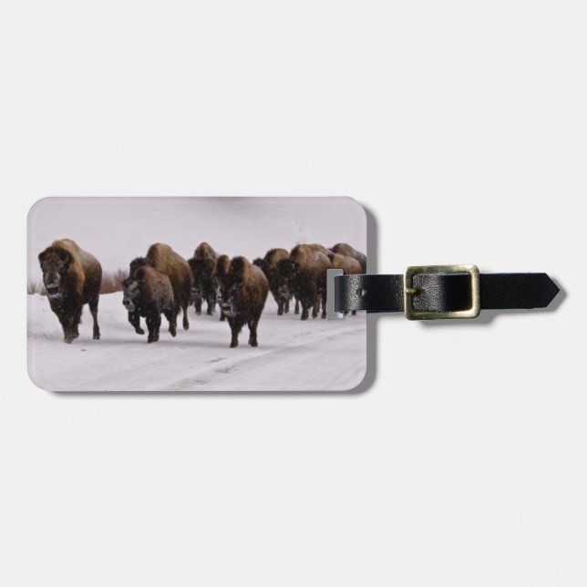 Etiqueta De Bagagem Bisonte no inverno (Frente Horizontal)