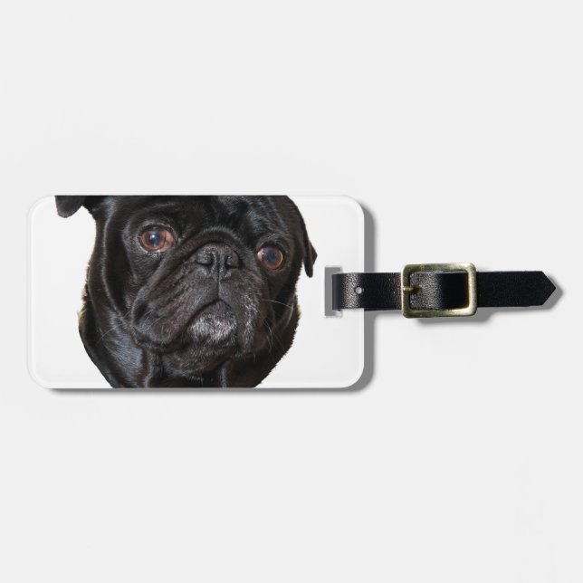 Etiqueta De Bagagem Black Funny Pug (Frente Horizontal)