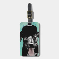 Black Labrador in Bowler Hat