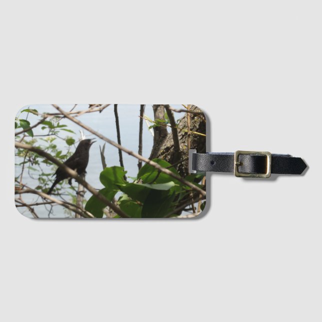 Etiqueta De Bagagem Blackbird Singing (Frente Horizontal)