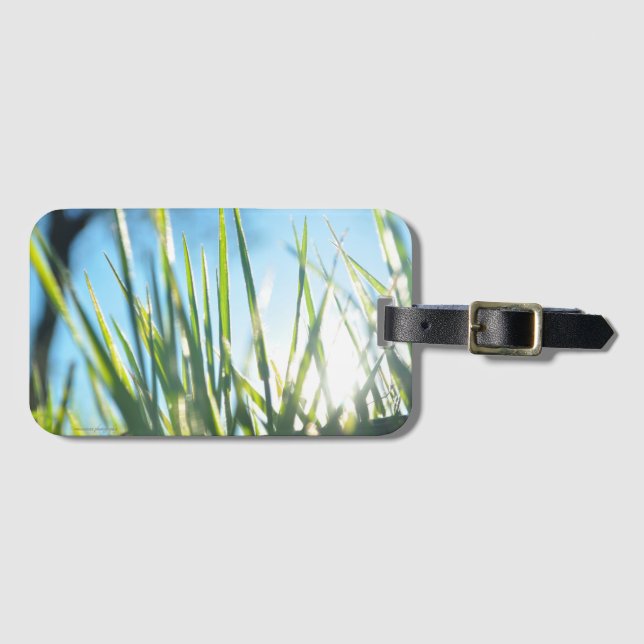 Etiqueta De Bagagem Blades Sunlit (Frente Horizontal)