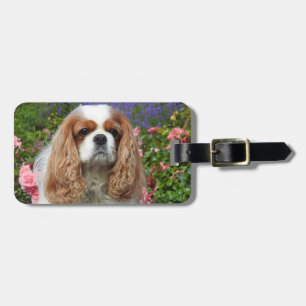 Etiqueta De Bagagem Blenheim Cavalier King Charles Spaniel Dog