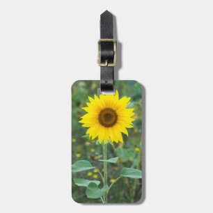 Etiqueta De Bagagem Blossom Sunflower Wilflower Fotografia