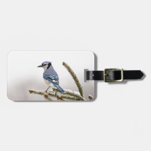 Etiqueta De Bagagem Blue Jay no inverno