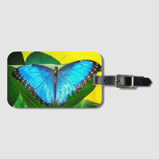 Etiqueta De Bagagem Blue Morpho Butterfly Arte Floral (Frente Horizontal)