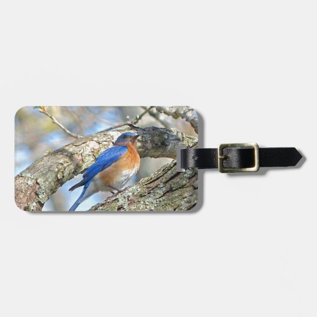 Etiqueta De Bagagem Bluebird (Frente Horizontal)