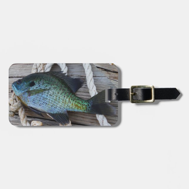 Etiqueta De Bagagem bluegill no doca (Frente Horizontal)