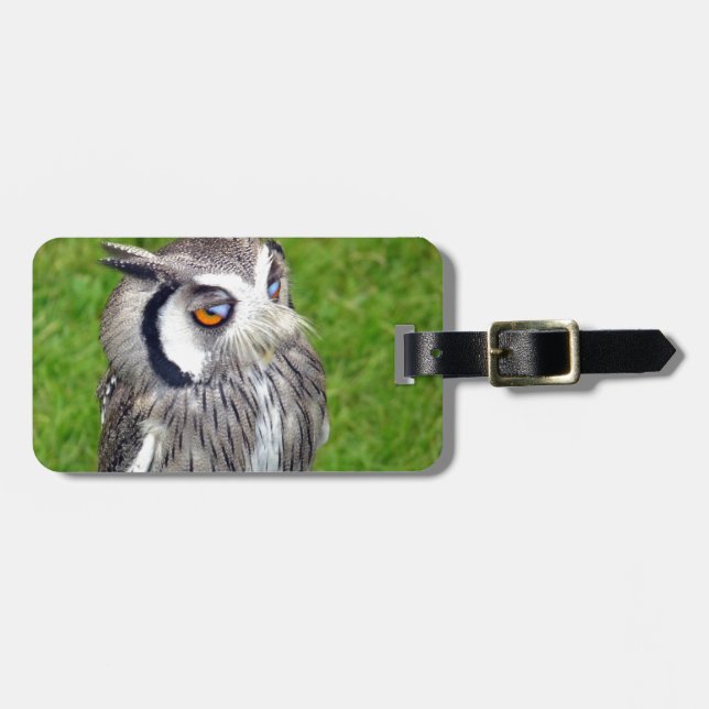 Etiqueta De Bagagem Bonitinha Gorda (Frente Horizontal)