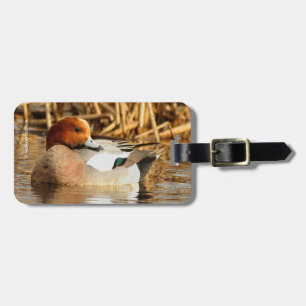 Etiqueta De Bagagem Bonito estranho na cidade de Eurasian Wigeon