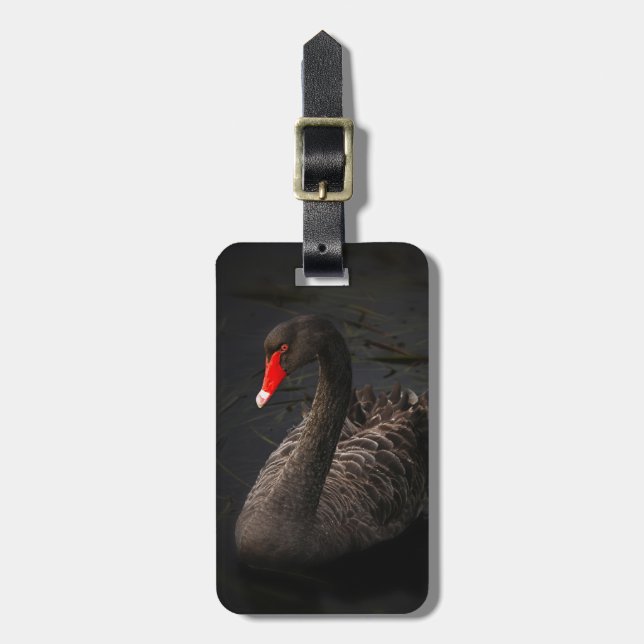 Etiqueta De Bagagem Bonito Swan Negro com Bright Beak Vermelho (Frente Vertical)