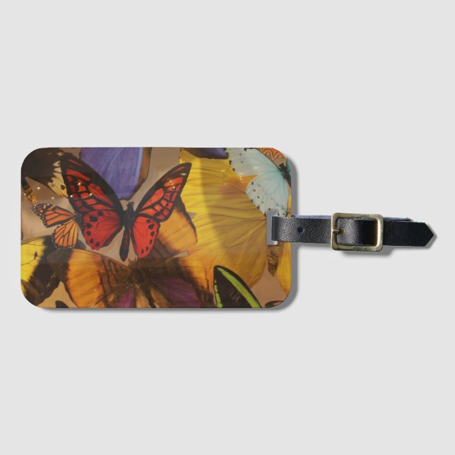 Etiqueta De Bagagem Borboleta de laranja roxa abstrato primavera (Frente Horizontal)