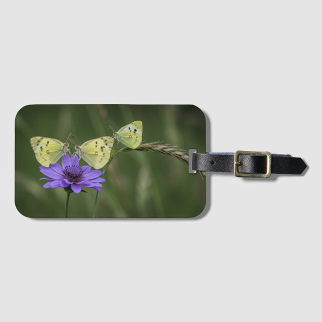 Etiqueta De Bagagem borboletas na primavera (Frente Horizontal)