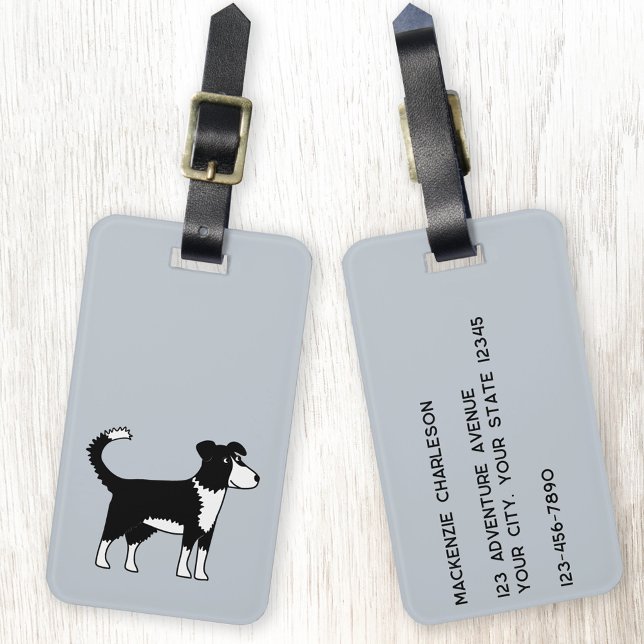Etiqueta De Bagagem Borda Collie Dog (Fun Welsh Border Collie Sheepdog dog personalized luggage tag)