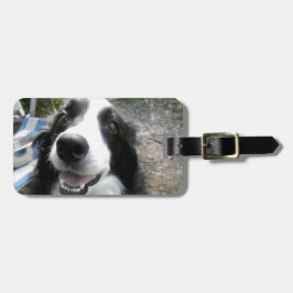 ETIQUETA DE BAGAGEM BORDER COLLIE