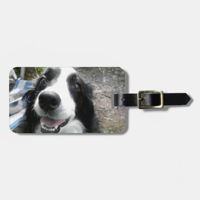 ETIQUETA DE BAGAGEM BORDER COLLIE (Frente Horizontal)