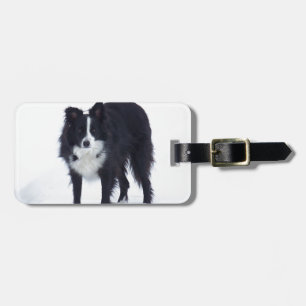 Etiqueta De Bagagem Border collie