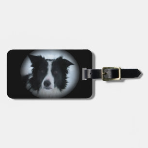 Etiqueta De Bagagem Border collie