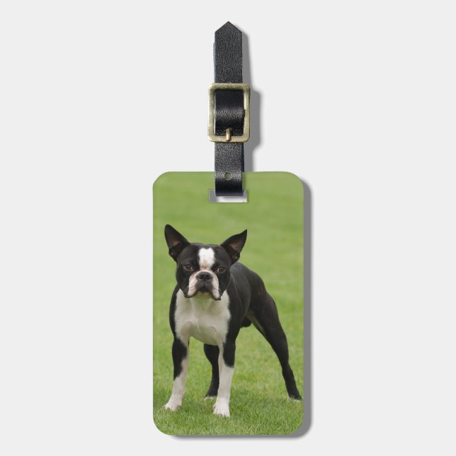 Etiqueta De Bagagem Boston terrier (Frente Vertical)