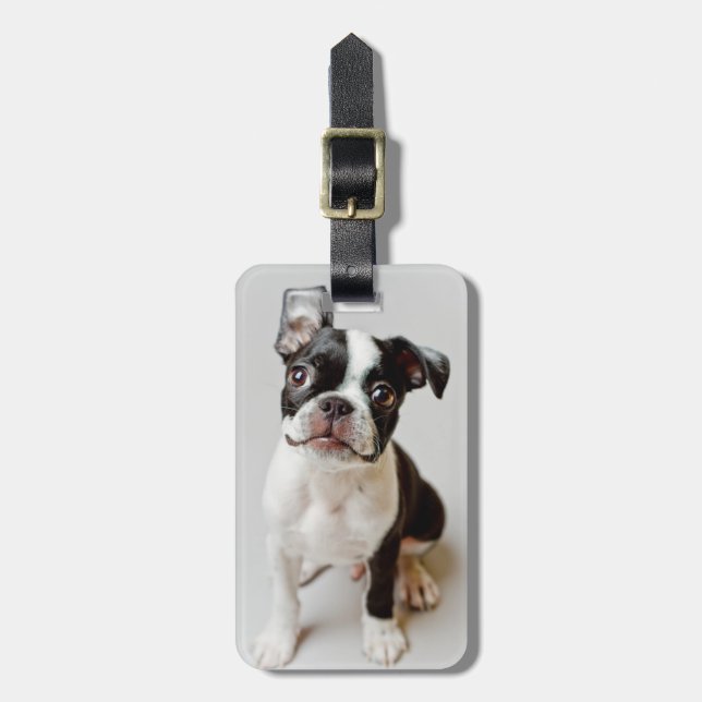 Etiqueta De Bagagem Boston Terrier (Frente Vertical)