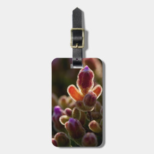 Etiqueta De Bagagem Botão de Flor Suculenta Colorida com Retroiluminaç