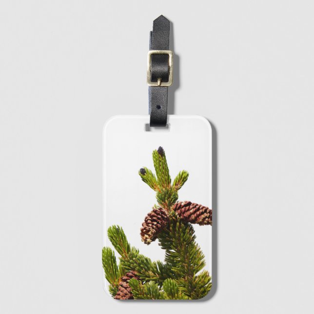 Etiqueta De Bagagem Bristlecone Pine (Frente Vertical)