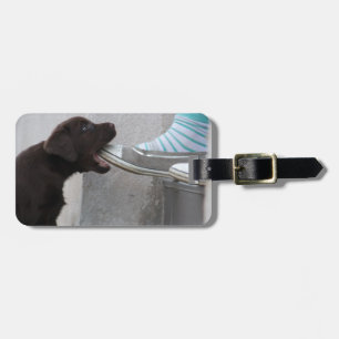 Etiqueta De Bagagem Brown Labrador Puppy, doce e faminto