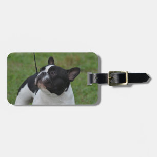 Etiqueta De Bagagem Buldogue francês preto e branco