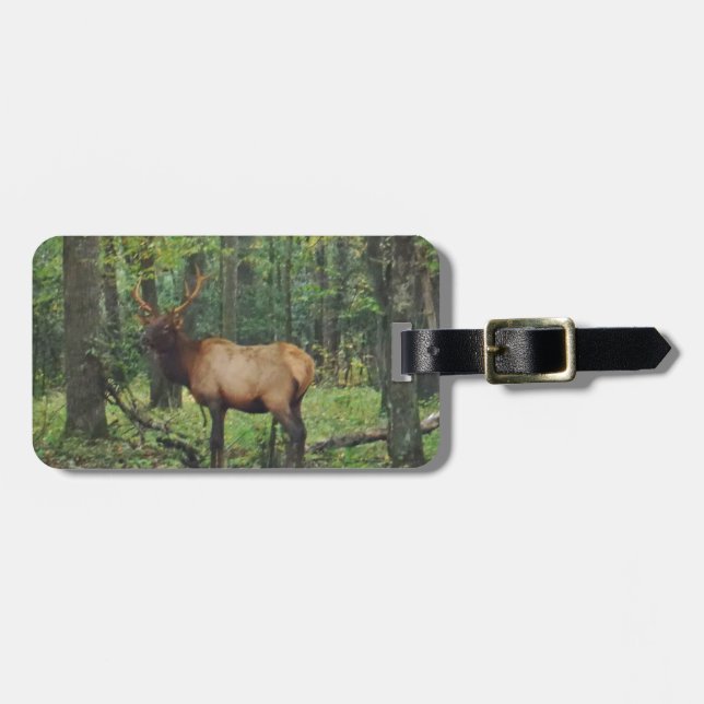 Etiqueta De Bagagem Bull Male Elk no outono (Frente Horizontal)