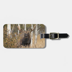 Etiqueta De Bagagem Bull Moose Impressionante