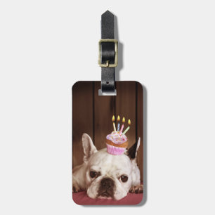 Etiqueta De Bagagem Bulldog Francês Com Cupcake De Aniversário