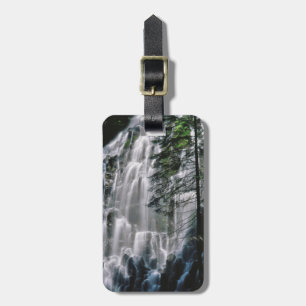 Etiqueta De Bagagem Cachoeira na floresta, Oregon