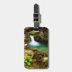 Etiqueta De Bagagem Cachoeira no Hare Creek, Califórnia