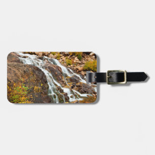 Etiqueta De Bagagem Cachoeira no Parque Nacional Grand Teton