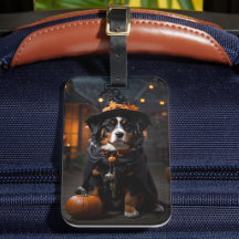 Cachorro Bernês Spooktacular: Um Halloween Howl-o-
