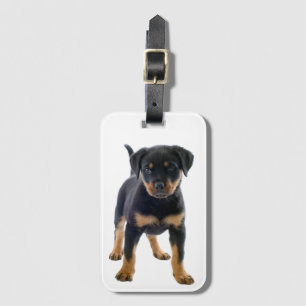 Etiqueta De Bagagem Cachorro Cachorro Cachorro Cachorro Gelado Mãe Ro