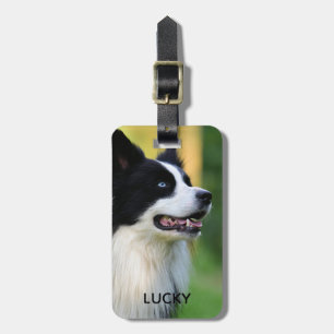 Etiqueta De Bagagem Cachorro Collie de Borda Preta e Branca