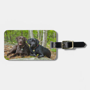 Etiqueta De Bagagem Cães Cachorros Cachorros Puppies Black Lab Chocol