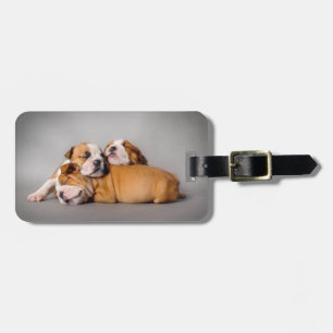 Etiqueta De Bagagem Cãezinhos-buldogue com sono