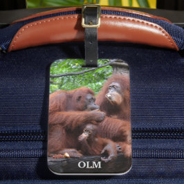 Etiqueta De Bagagem Café da manhã com o Zoológico Orangutans de Singap