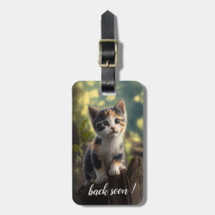 Etiqueta De Bagagem Calico Kitten Adorável