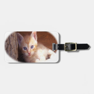 Etiqueta De Bagagem Camisetas e super mix de gatinhos