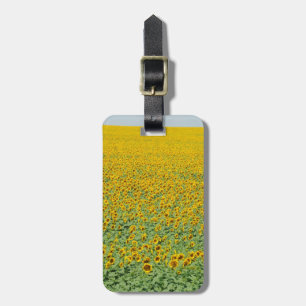 Etiqueta De Bagagem Campo amarelo do girassol