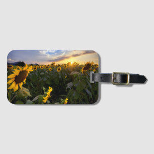 Etiqueta De Bagagem Campo de girassóis de florescência