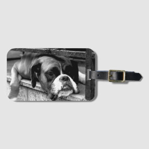Etiqueta De Bagagem Caneta Boxer no Cartão de visita do Windows Ltcn