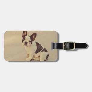 Etiqueta De Bagagem Cão