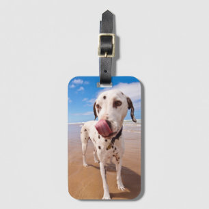 Etiqueta De Bagagem Cão Dalmatian na praia