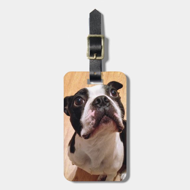 Etiqueta De Bagagem Cão de Boston Terrier (Frente Vertical)