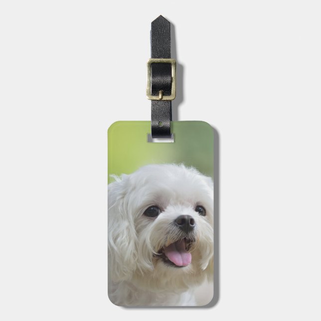 Etiqueta De Bagagem Cão maltês branco (Frente Vertical)