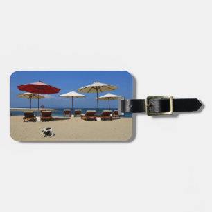 Etiqueta De Bagagem Cão na praia